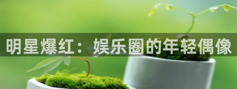 南宫大舞台官网入口：明星爆红：娱乐圈的年轻偶像