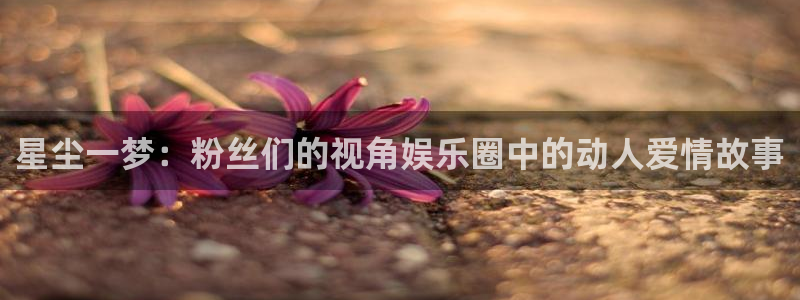 南宫大舞台：星尘一梦：粉丝们的视角娱乐圈中的动人爱情故事