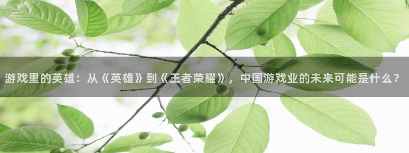 NG大舞台：游戏里的英雄：从《英雄》到《王者荣耀》，中国游戏业的未来可能是什么？