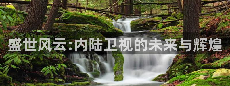 南宫大舞台：盛世风云:内陆卫视的未来与辉煌
