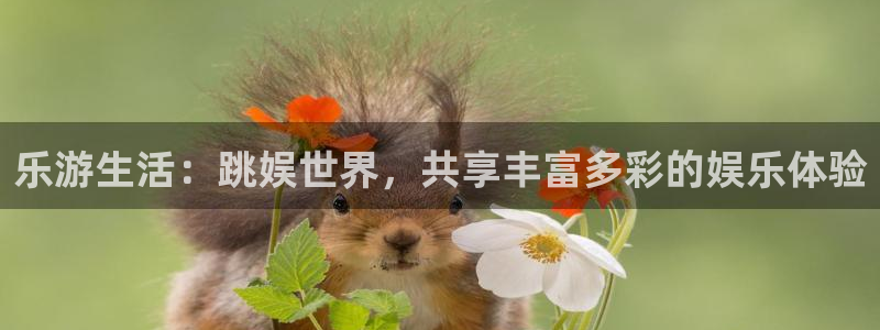 南宫大舞台：乐游生活：跳娱世界，共享丰富多彩的娱乐体验