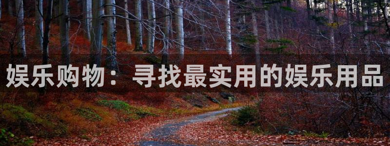 南宫大舞台官网入口：娱乐购物：寻找最实用的娱乐用品