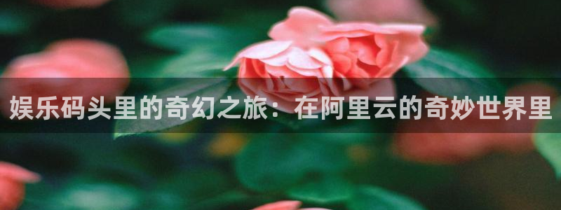 NG大舞台：娱乐码头里的奇幻之旅：在阿里云的奇妙世界里