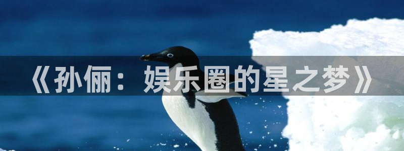南宫大舞台：《孙俪：娱乐圈的星之梦》