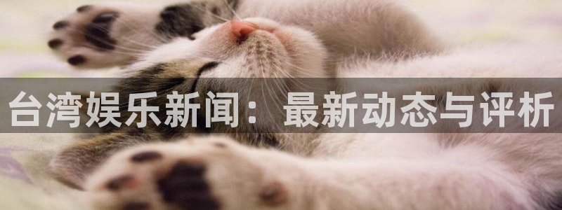 南宫大舞台官网入口：台湾娱乐新闻：最新动态与评析